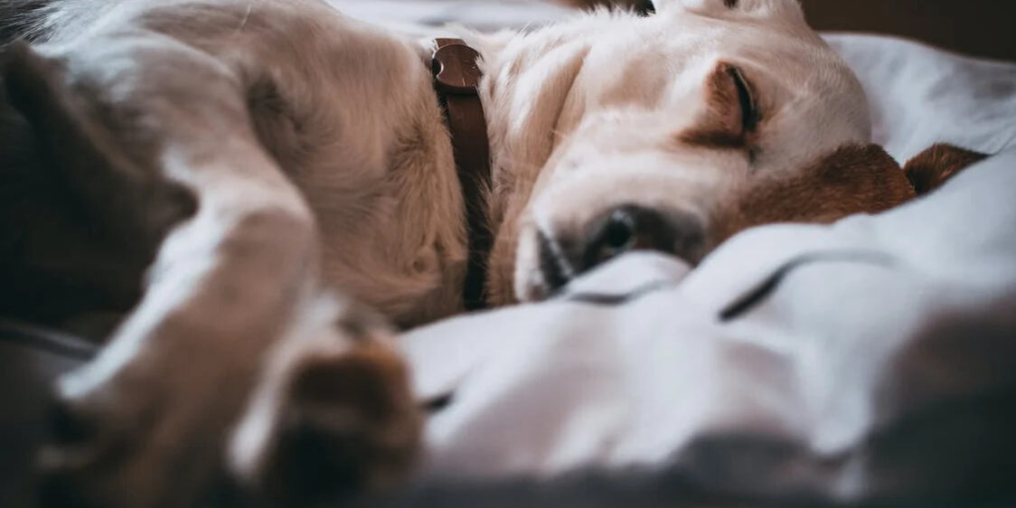 pexels-photo-791862