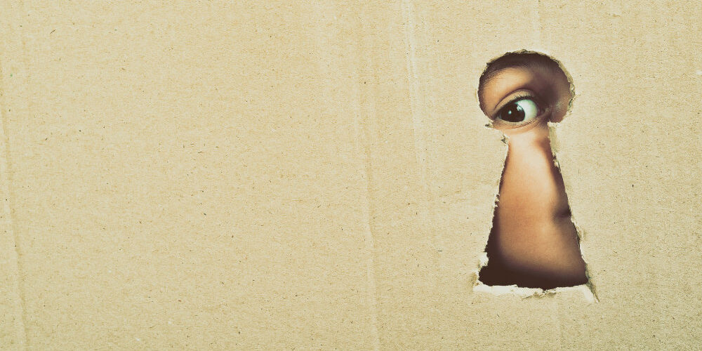 curiosita