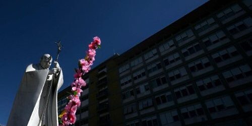 IMG_9203