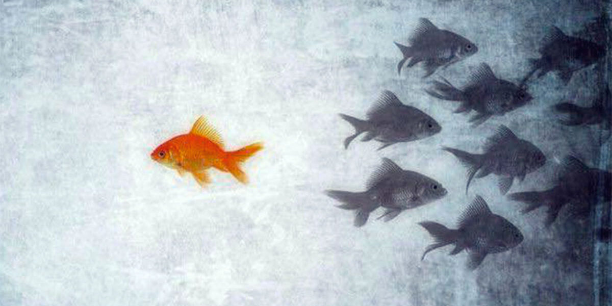 pesce