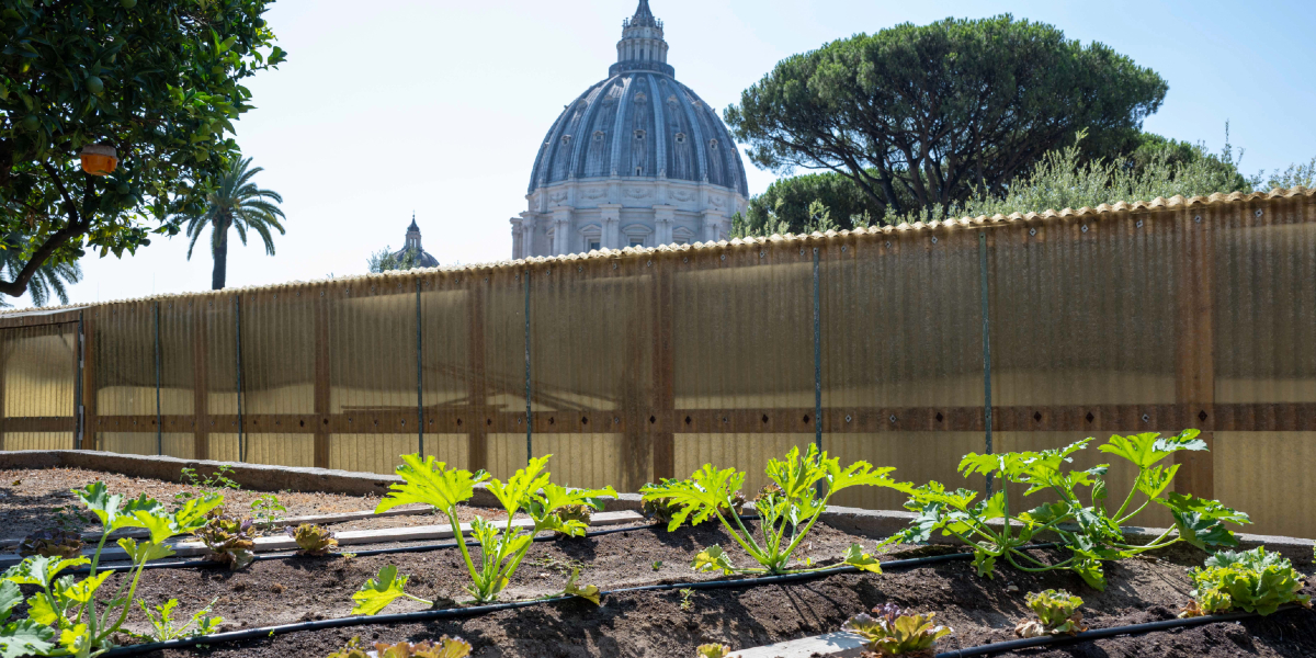 Vatican-organic-garden.jpg